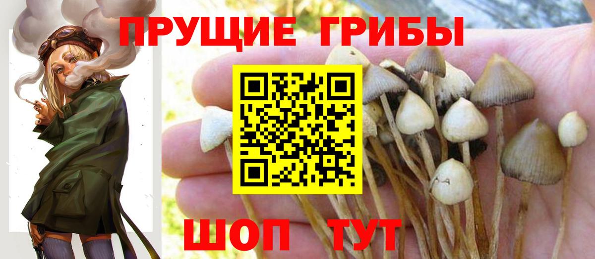 Ухта  Галлюциногенные грибы Psilocybe  Вход с VPN 